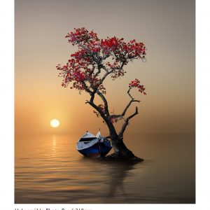 Hahnemühle FineArt Photo Pearl Prints