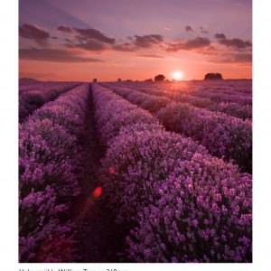 Hahnemühle William Turner Giclee Print